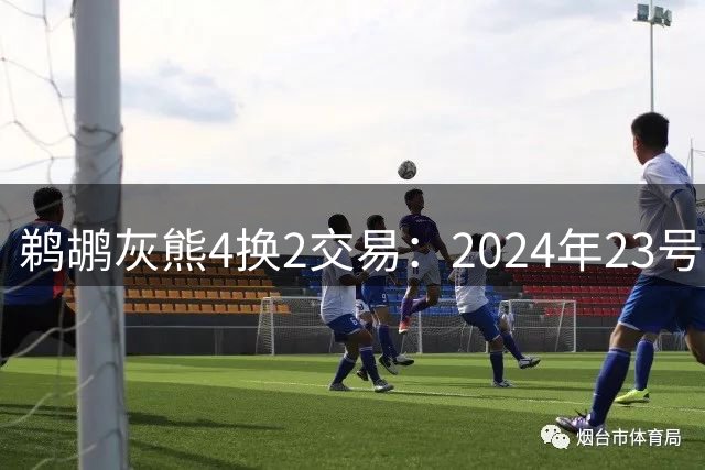 鹈鹕灰熊4换2交易：2024年23号秀将加盟第4队